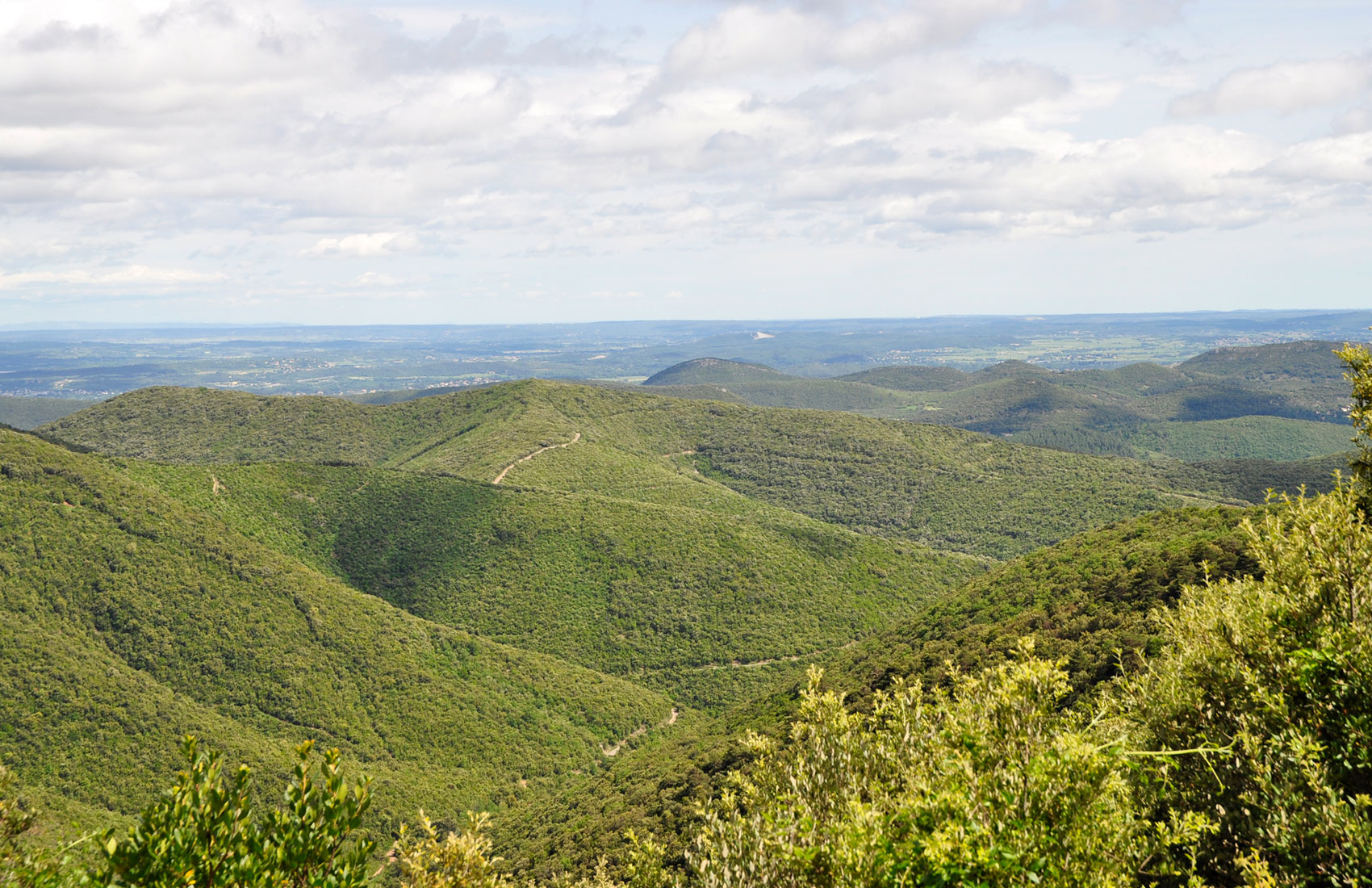 les-cevennes-en-altitude