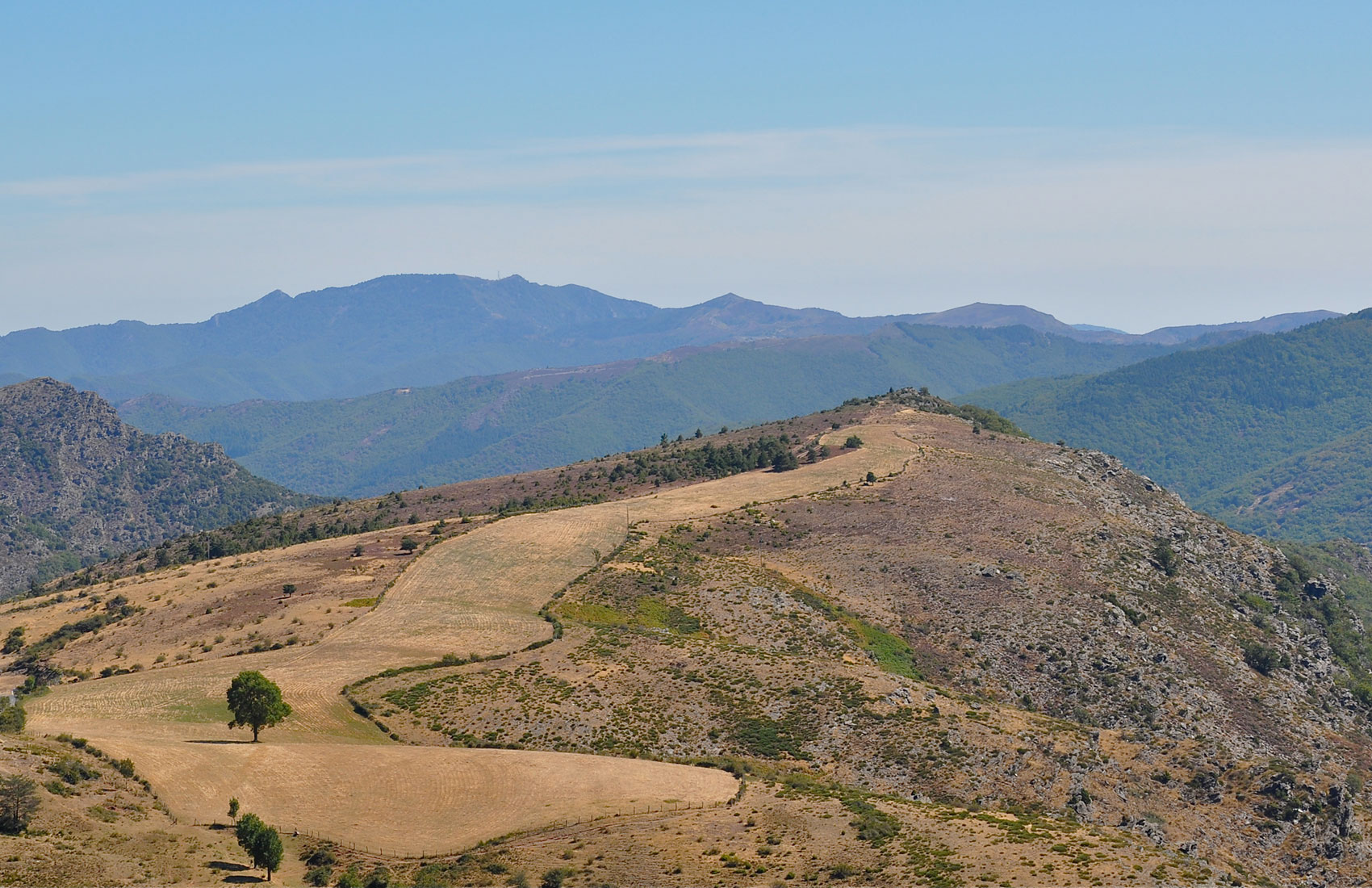 nature-en-cevennes