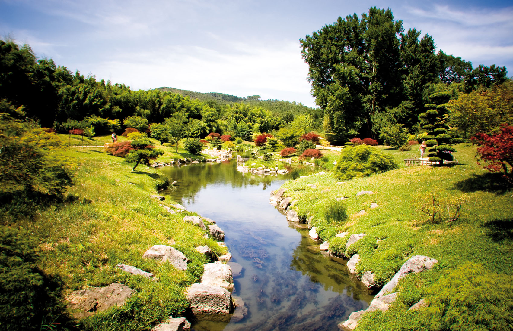 riviere-des-cevennes